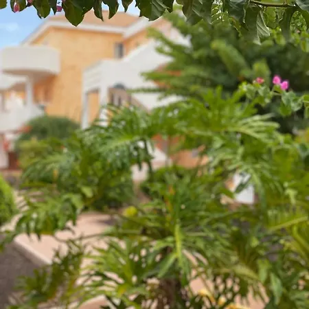 דירה Golden Ocean View & Pool לוס כריסטיאנוס